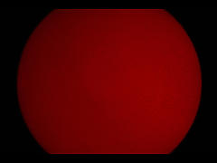 太陽 Hα 像（2）