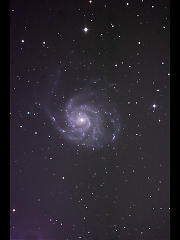 M101