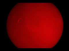 太陽Hα像（4）