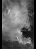 （北アメリカ星雲 1の写真）