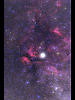 （白鳥座γ星付近の散光星雲の写真）