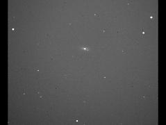 SUPERNOVA 2007gi IN NGC 4036