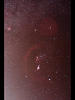 （オリオン座周辺HII域の星雲の写真）