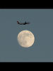 （羽田に昇る月と飛行機の写真）