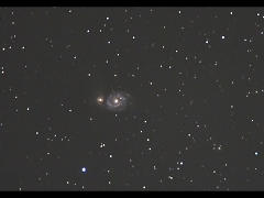 M51