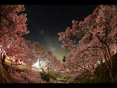 銀河の桜雲橋