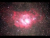 （M8（干潟星雲）の写真）