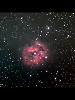 （まゆ星雲（IC 5146）の写真）