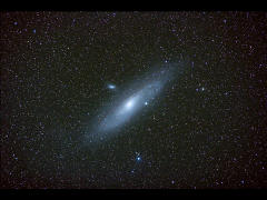 M31