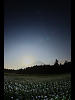 （星月夜の富士と蕎麦畑の写真）