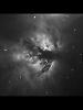（NGC2024 燃える木の写真）