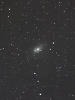 （NGC2403の写真）