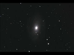 M81 （おおぐま座系外銀河）