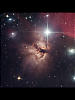 （NGC2024の写真）