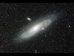 M31