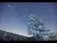 樹氷ツリーの冬星