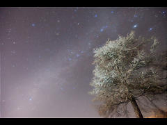 カシオペア銀河の樹氷