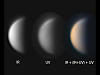 （1月24日の金星 （IR,UV）の写真）