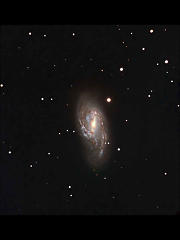 M66