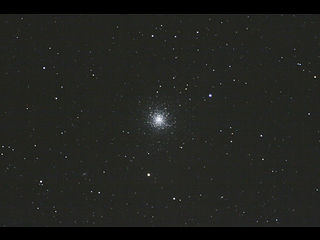 M13μ̿