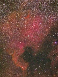 NGC 7000 ̥ꥫμ̿