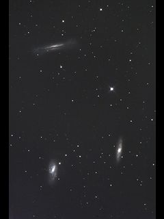 M6566NGC 3628μ̿