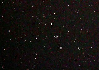 COOLPIX995による小惑星 2002 NY40