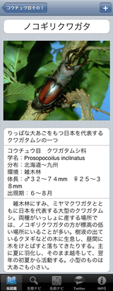 虫カード 虫カード