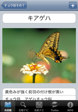 虫カード 虫カード
