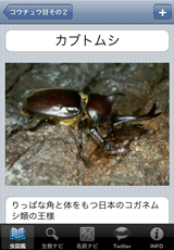 観察記録 観察記録