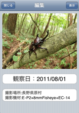 観察記録 観察記録