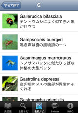 名前ナビ 名前ナビ