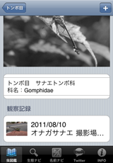 〜科のその他の昆虫カード 〜科のその他の昆虫カード