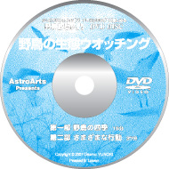 DVD졼٥