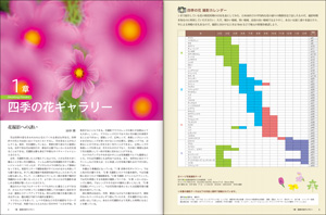 四季の花ギャラリー