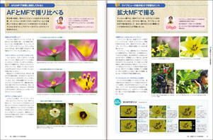 AFとMFで撮り比べる、拡大MFで撮る