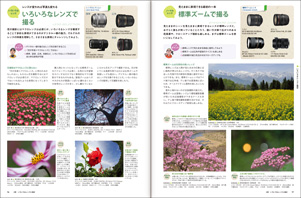 いろいろなレンズで撮る、標準ズームで撮る