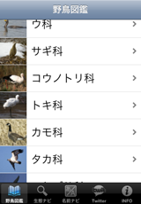 野鳥図鑑 野鳥図鑑