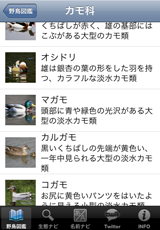 野鳥図鑑 野鳥図鑑