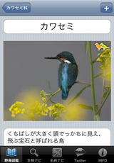 観察記録 観察記録