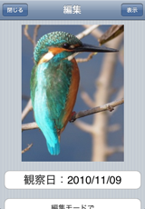 観察記録 観察記録
