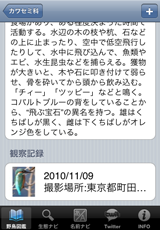 観察記録 観察記録