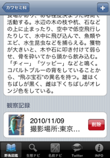 観察記録 観察記録