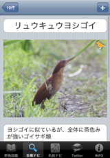 生態ナビ 生態ナビ