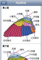 用語解説 用語解説