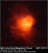 N81