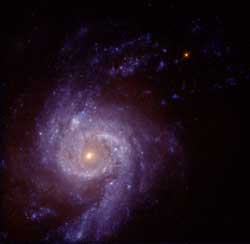  NGC3310