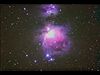 M42 ꥪμ̿