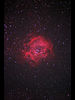 NGC 2237 Фμ̿