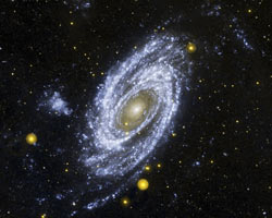 M81